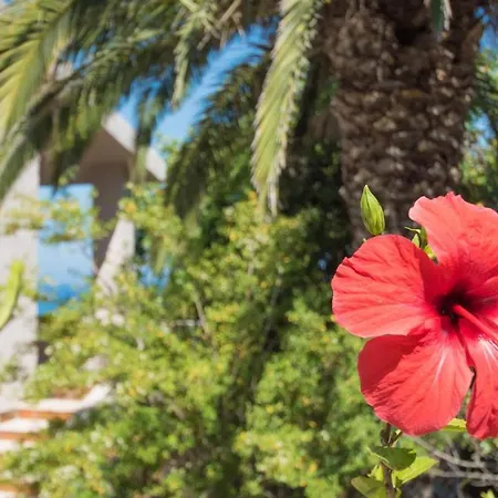 Apartamento Italianway - Fuile Mare A Cala Liberotto